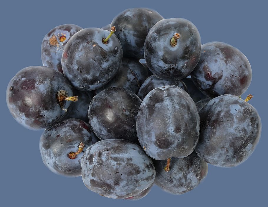 plum, fruit, stone fruit, fruit growing, prunus domestica, squish HD wallpaper