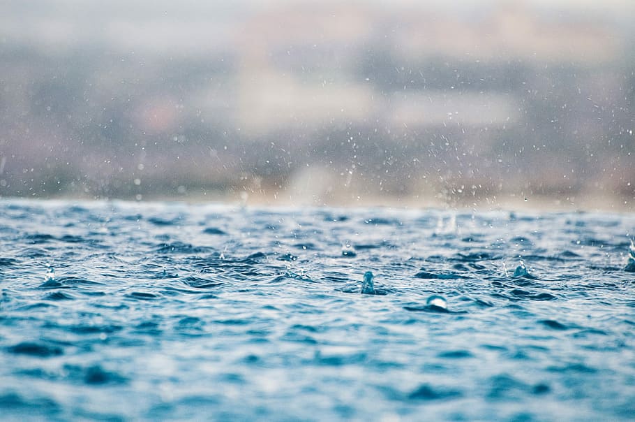closeup photography of water drops on body of water, selective photo of water droplets HD wallpaper