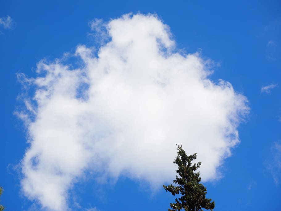 Clouds, Sky, Blue, White, Summer, Summer Day, sunny day, cumulus clouds, HD wallpaper