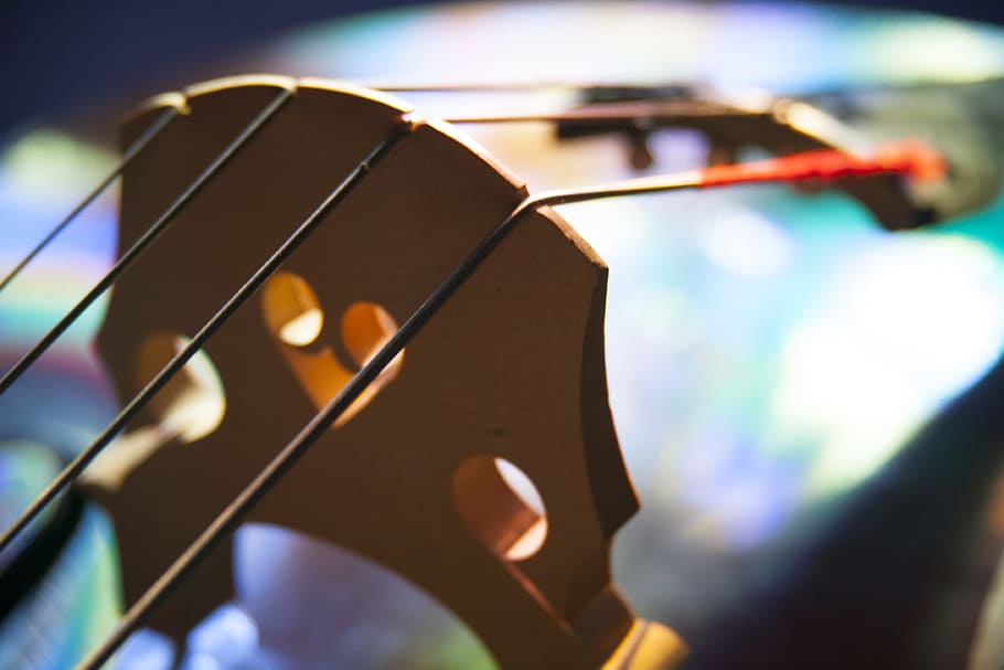 Bass, Instrument, Strings, Bridge, music, close-up, arts culture and entertainment HD wallpaper