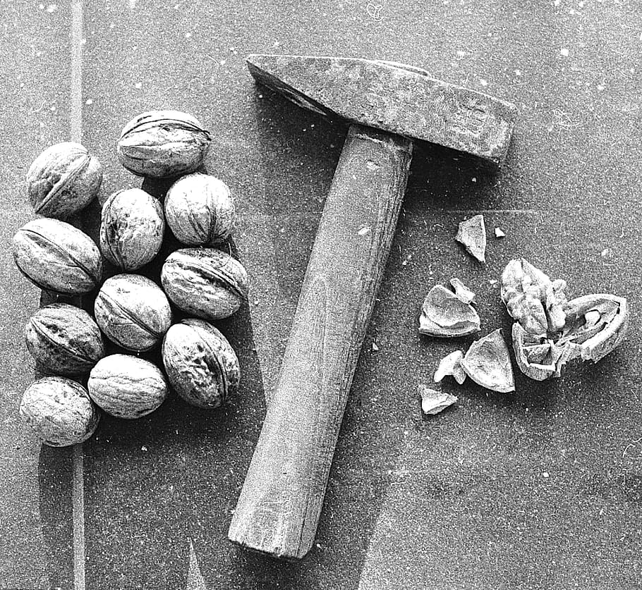 walnuts beside hoe, nutcracker, hammer, nutshell, diet, health HD wallpaper