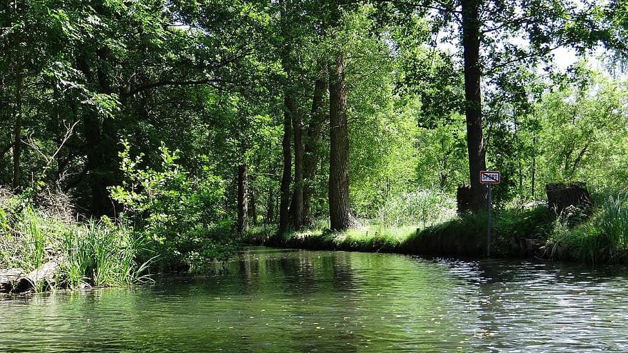 Spreewald, Depth, Landscape, channel, cultural landscape, water HD wallpaper