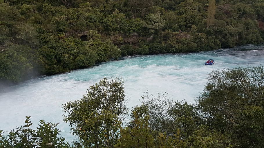 river, rapids, water, tree, plant, day, beauty in nature, scenics - nature HD wallpaper