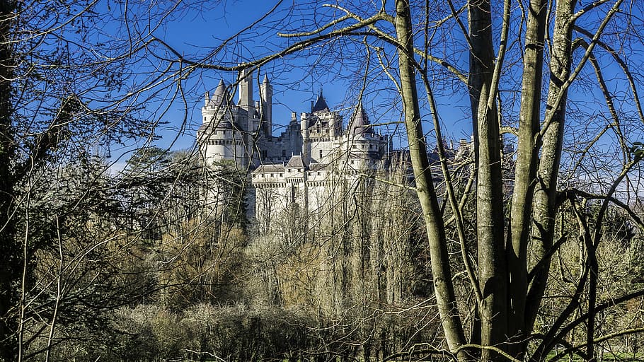 castle of pierrefonds, medieval, middle ages, france heritage, HD wallpaper