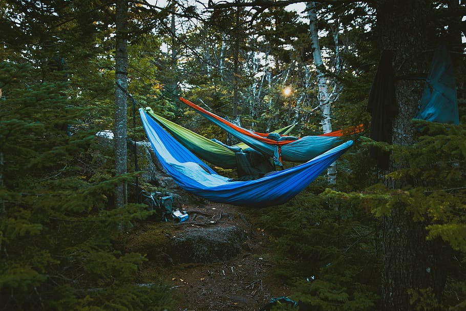 blue hammock, nature, landscape, trees, woods, forest, hammocks, HD wallpaper