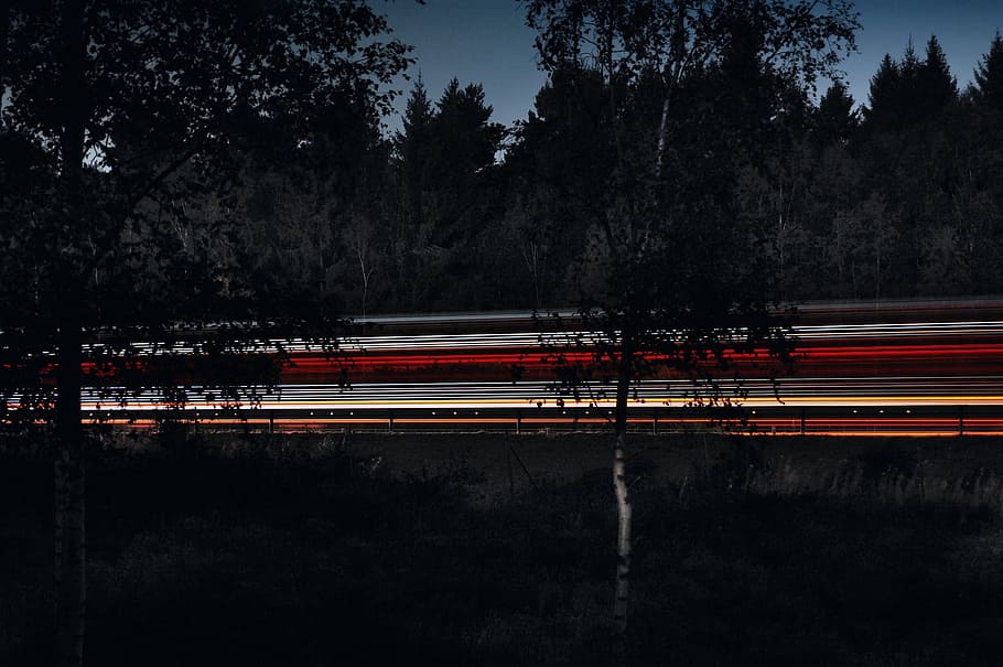 time-lapse photography of vehicle running on road in between trees at nighttime, photo of light streaks HD wallpaper