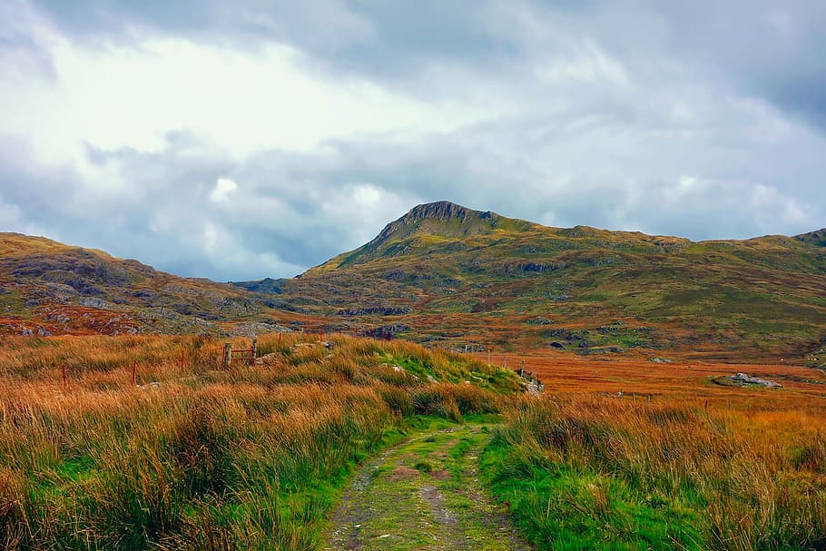 hill during cloudy day, england, mountains, sky, clouds, fall HD wallpaper