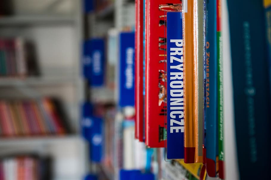 library, book, reading, education, knowledge, rent, kielce HD wallpaper