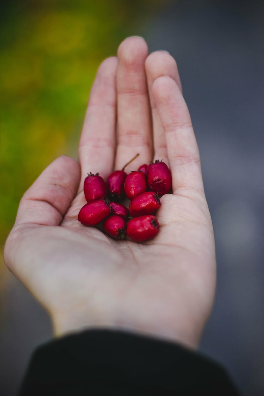 arm, fingers, fruits, hand, palm, red fruits, food, nature, HD wallpaper