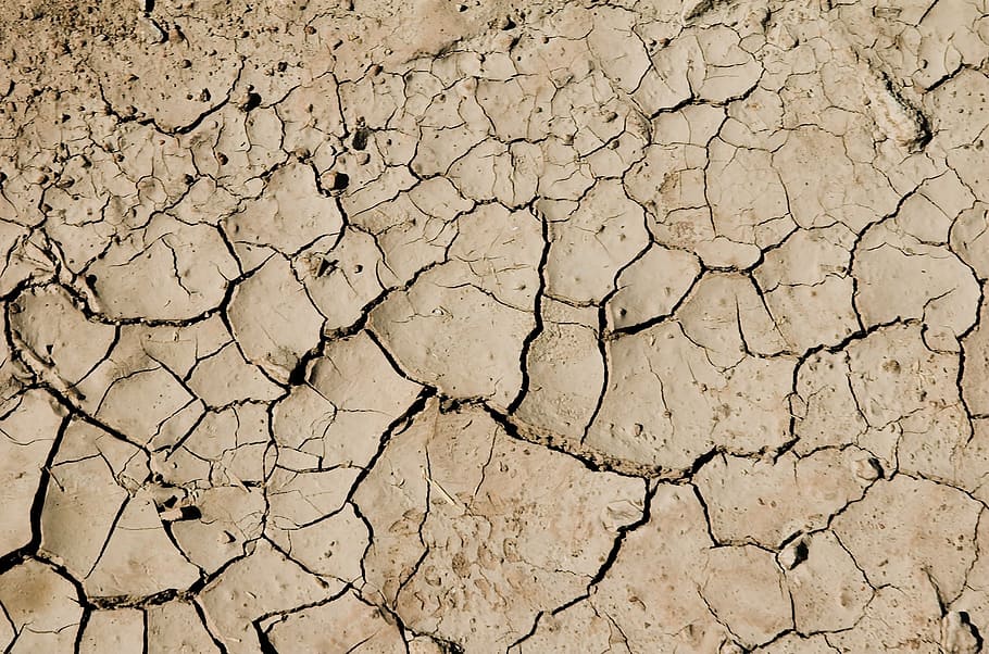 desert, dry, drought, cracked, ground, earth, land, soil, texture, HD wallpaper