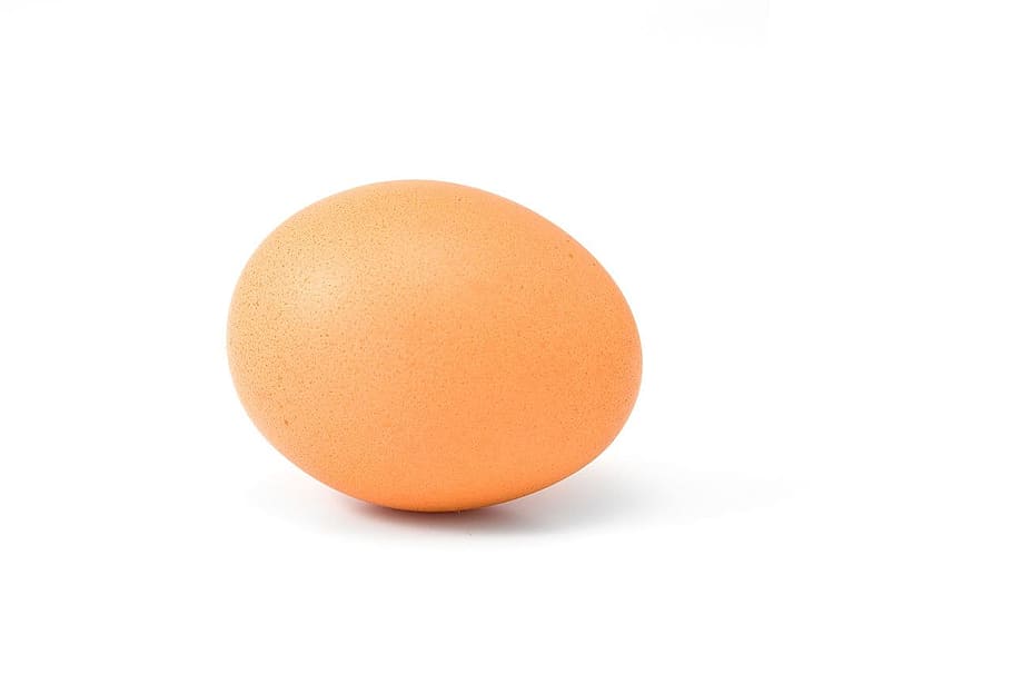 brown egg with white background, bird, breakfast, dairy, food