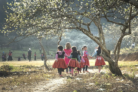 untitled, year, lunar, hmong, nice, happy, the tradition, nation HD wallpaper