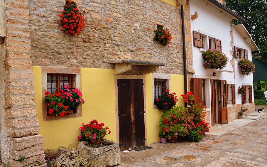 flowers, window, house, architecture, the european path, e5 HD wallpaper