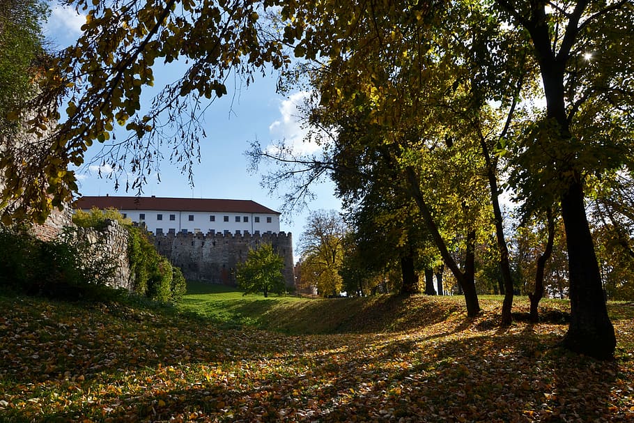 baranya, siklós, castle, tree, architecture, autumn, nature, HD wallpaper