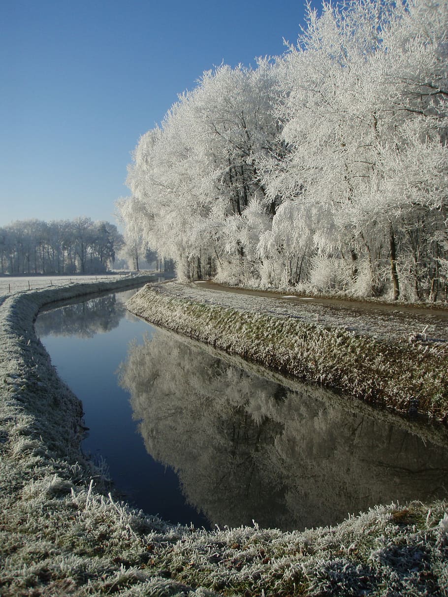 winter, mirror, trees, water, landscape, nature, frozen, snow HD wallpaper