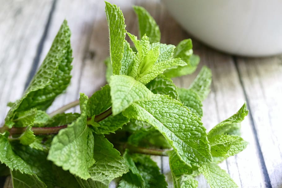 mint, herbs, green, leaf, food and drink, plant part, wellbeing HD wallpaper