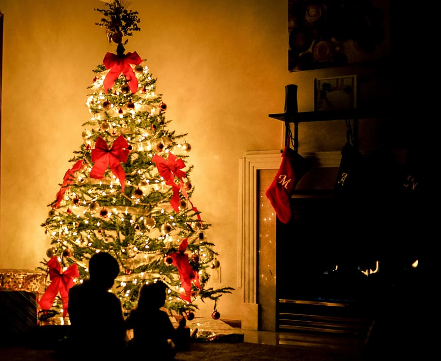 lighted Christmas tree, silhouette of two children sitting near Christmas tree HD wallpaper