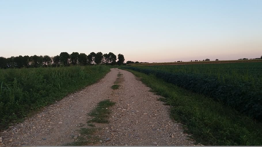 sunset, trail, walk, nature, campaign, plant, sky, landscape HD wallpaper