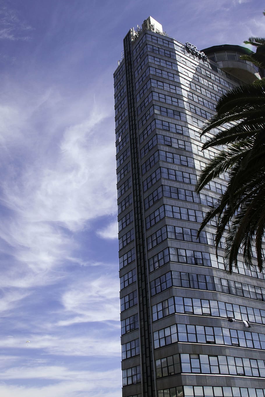 building, hotel, sky, clouds, vacation, modern, travel, palm HD wallpaper