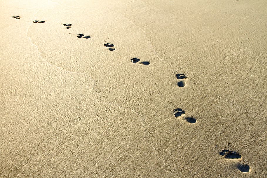 sand footprints during daytime, beach, sunrise, land, tranquility HD wallpaper