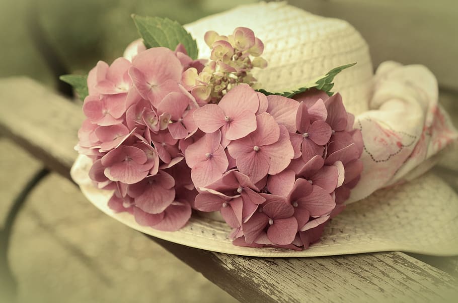 white straw hat with flower-accent on brown wooden bench, sun hat HD wallpaper