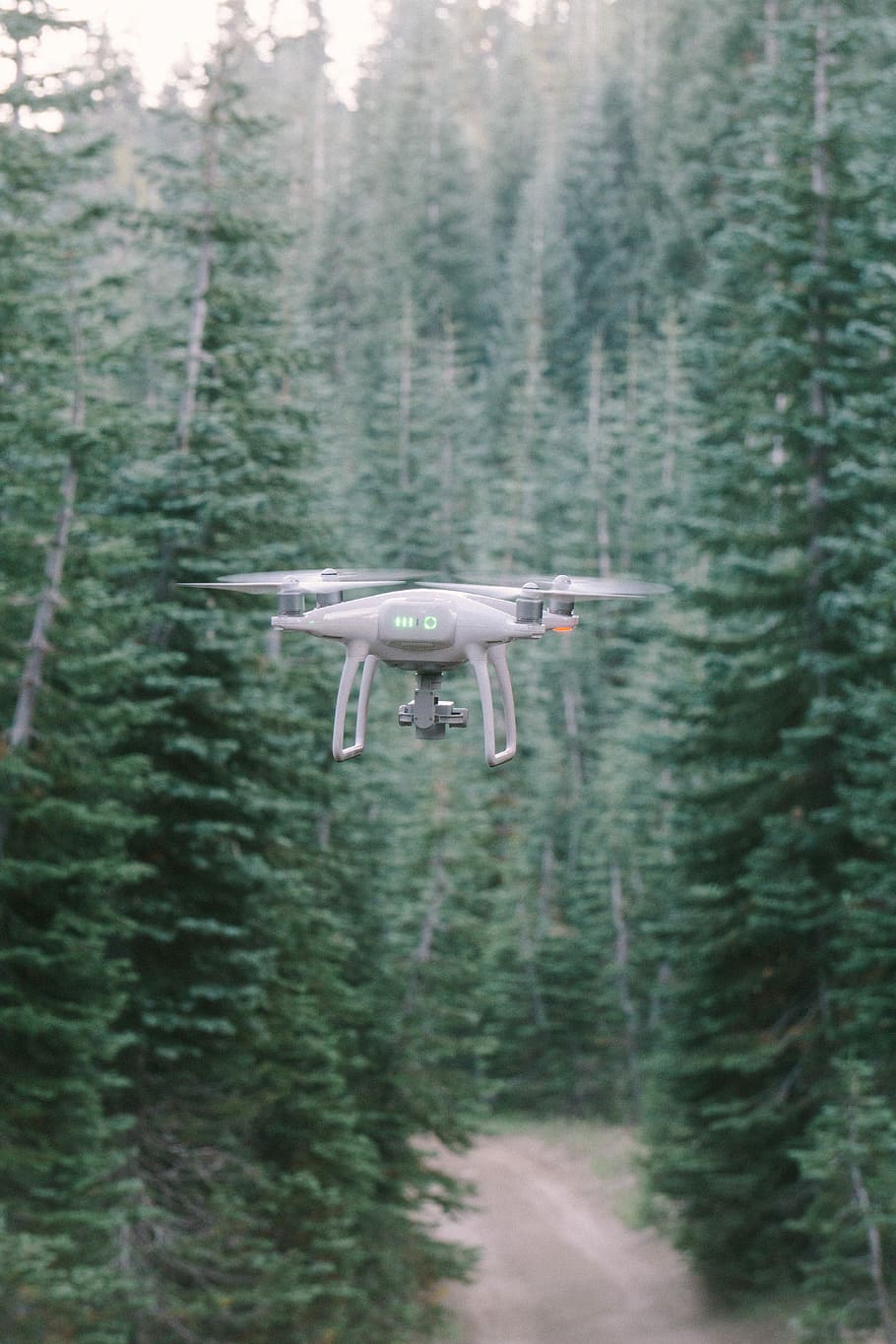 gray quadcopter drone in the middle of forest during day, grey drone HD wallpaper
