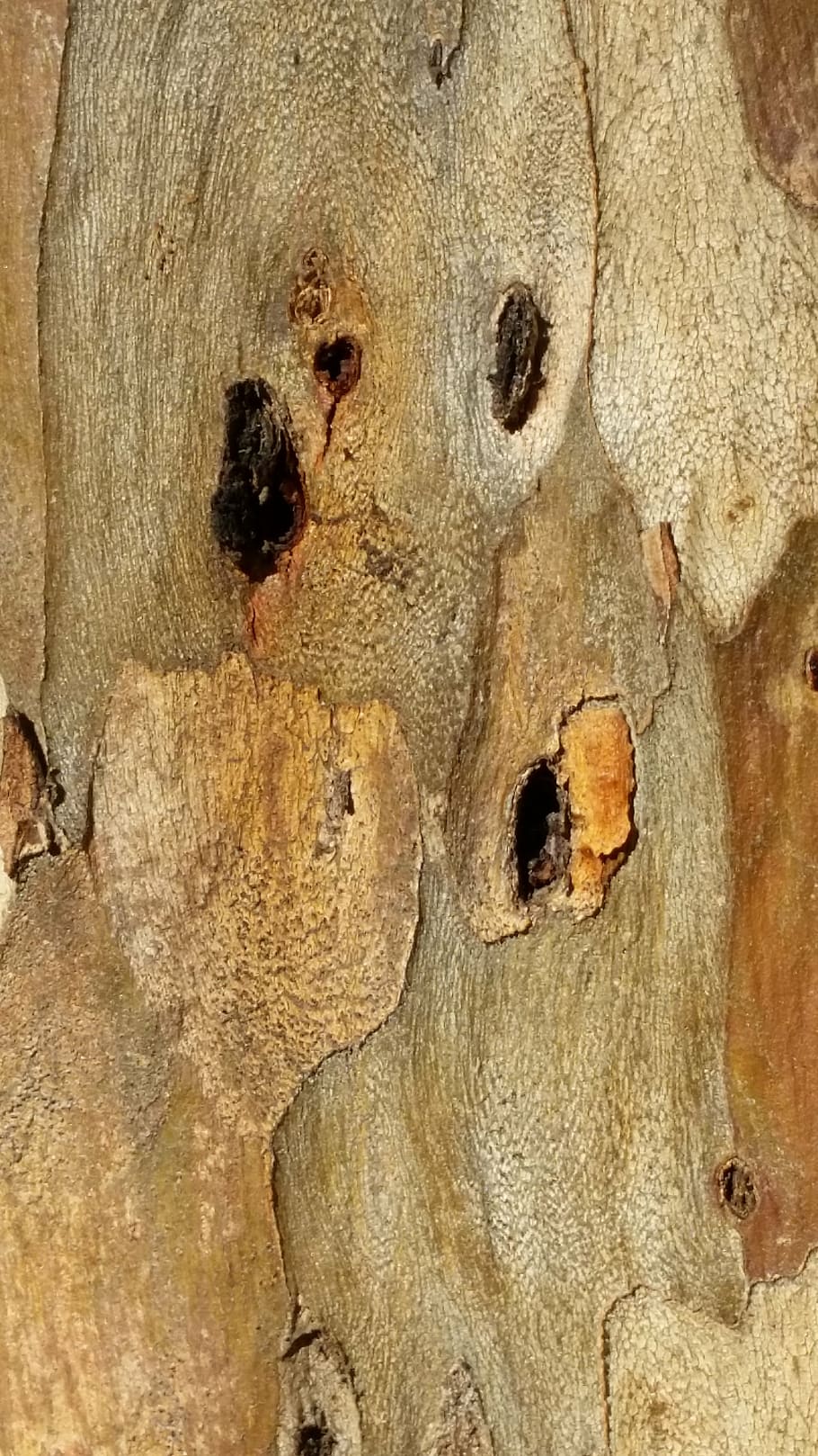 wood, background, texture, brown, pattern, nature, grain, backdrop HD wallpaper