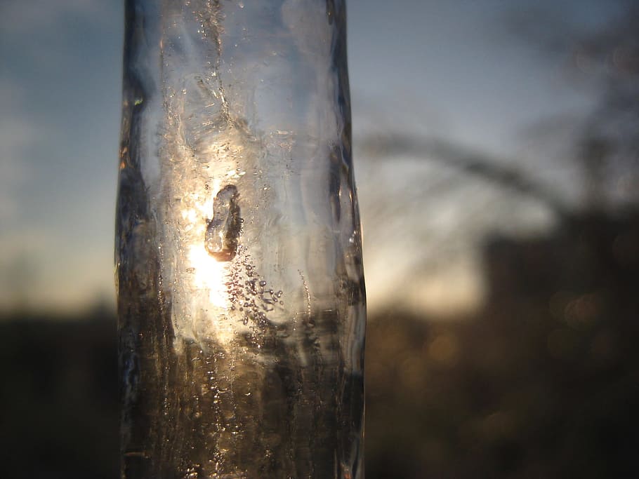 winter, spring, zing rain, branch, ice, winter sun, tree, trees HD wallpaper