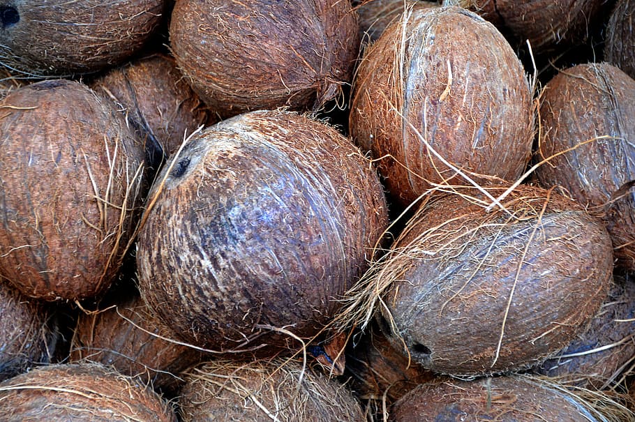 brown coconut fruit lot, nuts, market, nutrition, exotic, food, HD wallpaper