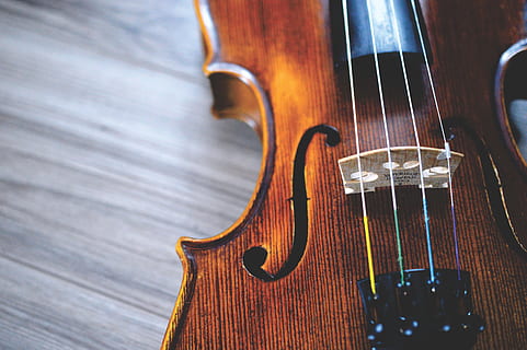 brown and black violin, brown violin on gray wooden board, music HD wallpaper