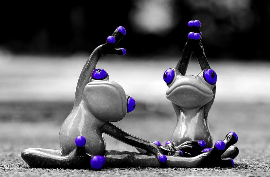 frogs, gymnastics, funny, figure, cute, sweet, sport, sporty HD wallpaper