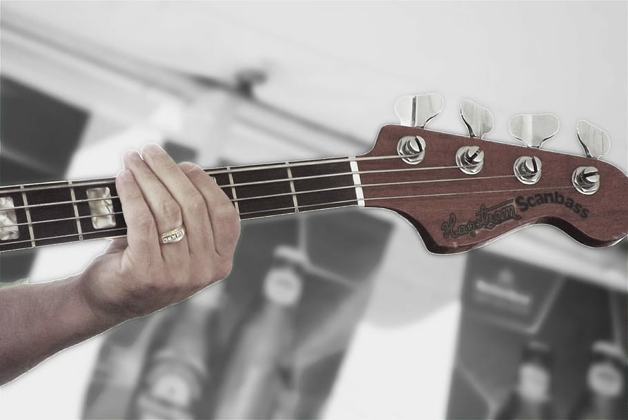 Bass, Hand, Music, Music, Instrument, Guitarist, fingers, player, HD wallpaper