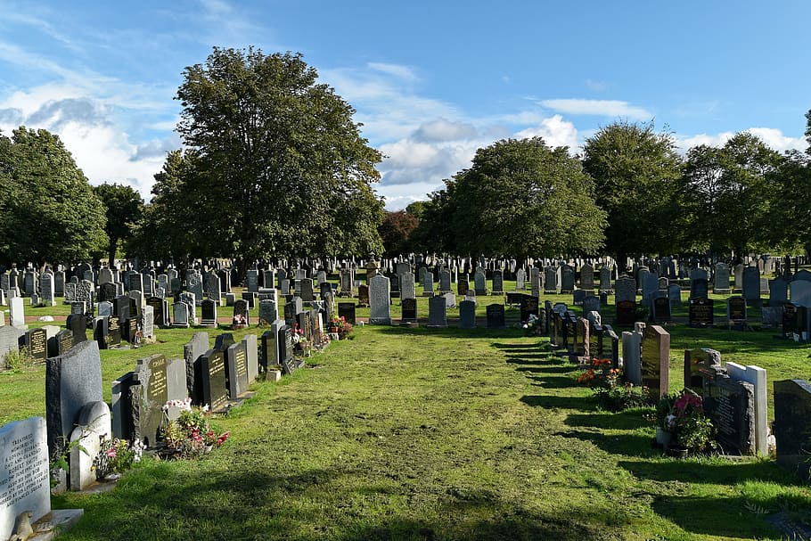 HD wallpaper: graveyard near trees, cemetery, headstones, graves