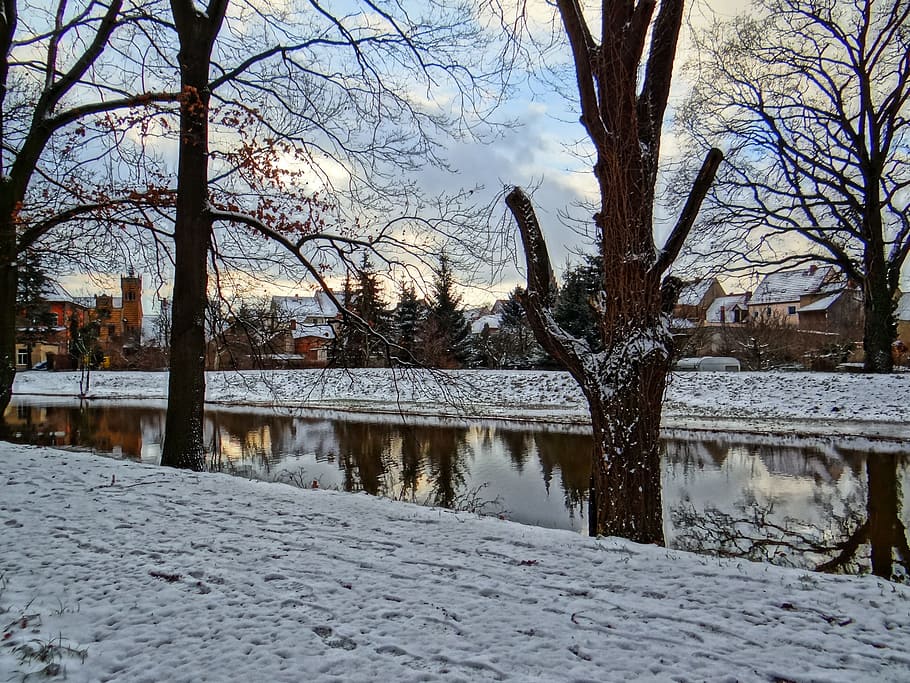 landscape, river, nature, trees, winter, cold temperature, snow HD wallpaper