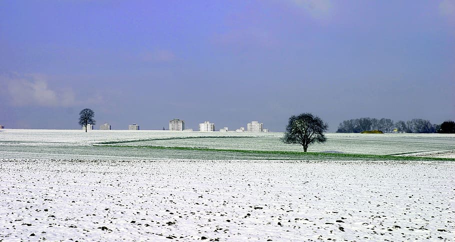 eschborn, field, winter, sky, plant, nature, tree, day, clear sky HD wallpaper