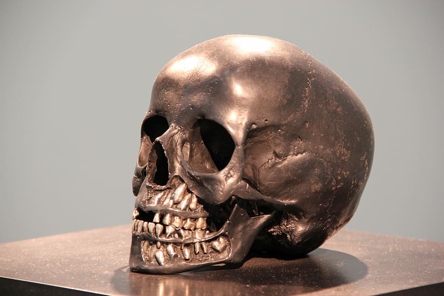 gray skeleton skull figure, bronze, head, statue, horror, metal HD wallpaper