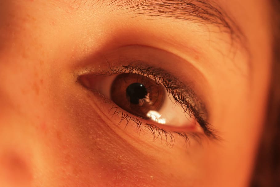 eye, eyeball, macro, human, face, eyesight, skin, blue, close, HD wallpaper