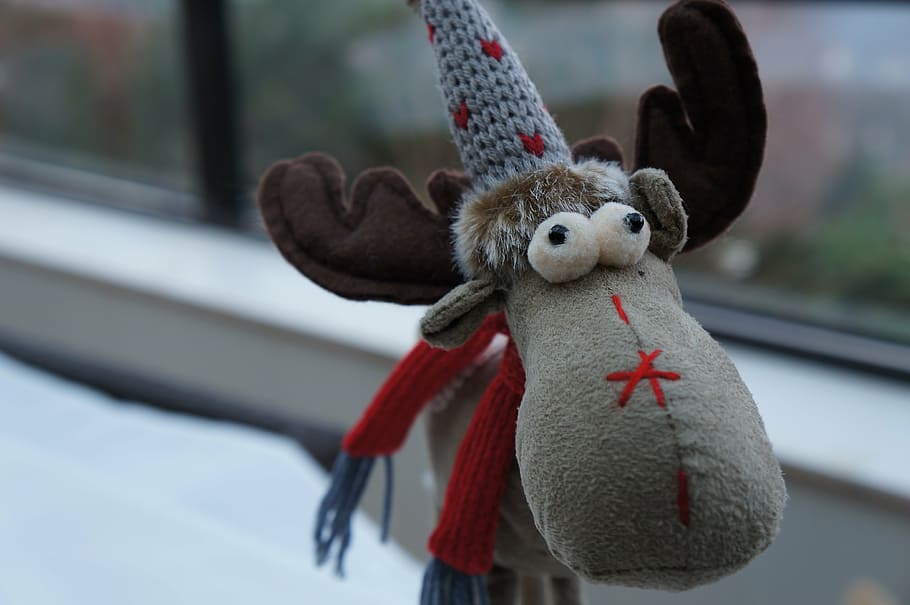 plush, reindeer, funny, animal, focus on foreground, representation HD wallpaper