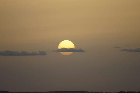 sunset, clouds, birds, nature, sky, twilight, evening, yellow HD wallpaper