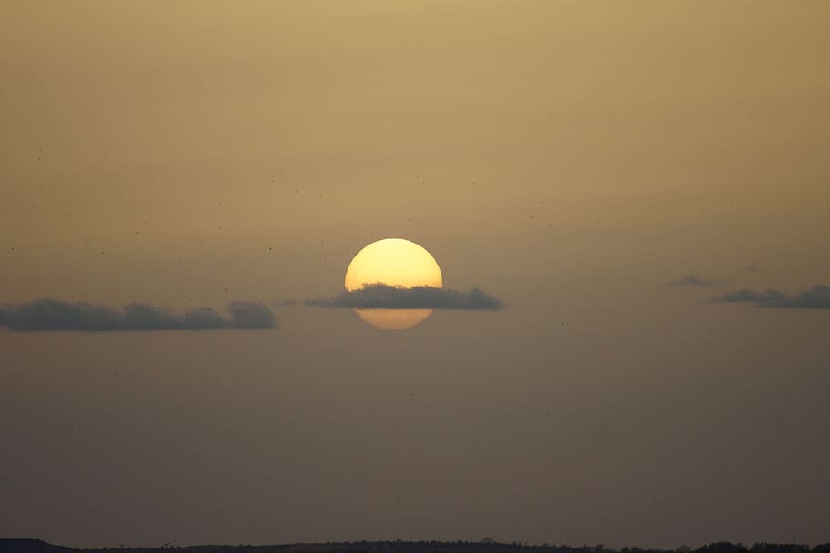 sunset, clouds, birds, nature, sky, twilight, evening, yellow HD wallpaper
