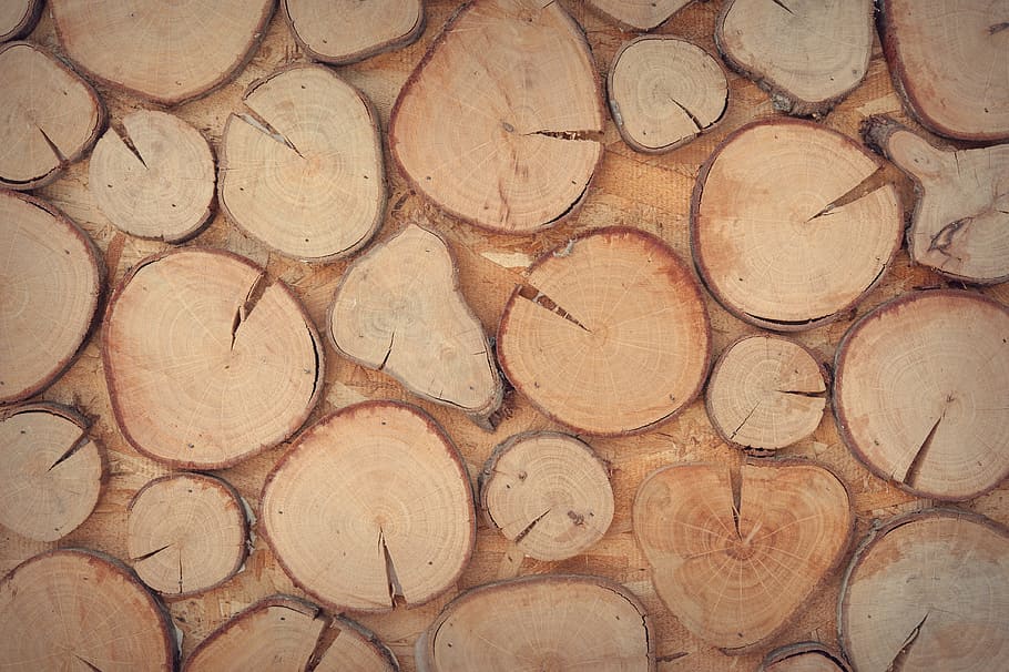 brown tree chunk lot, decoration, design, surface, texture HD wallpaper