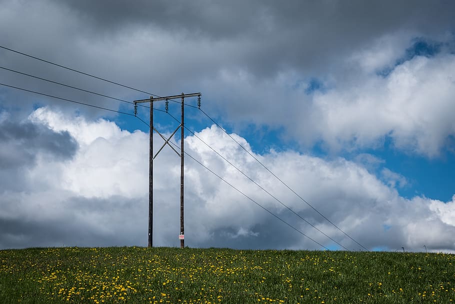 green, grass, field, farm, nature, transmission, line, electricity HD wallpaper