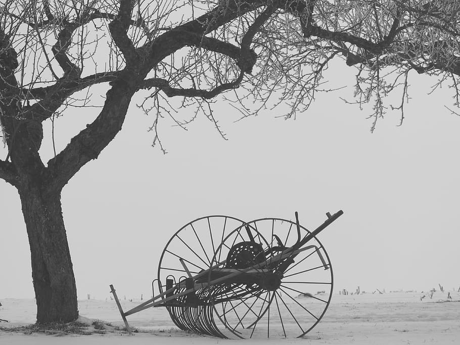 winter, tree, kahl, snow, still life, hay tedders, agriculture HD wallpaper