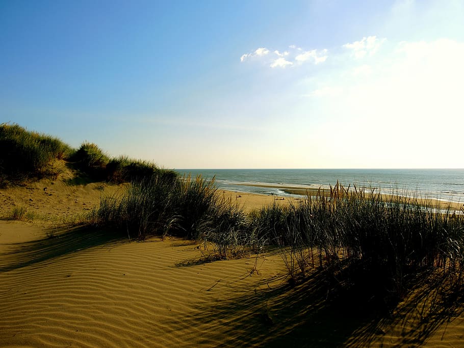 beach, dunes, sand, grass, sunset, ocean, sea, water, netherlands HD wallpaper