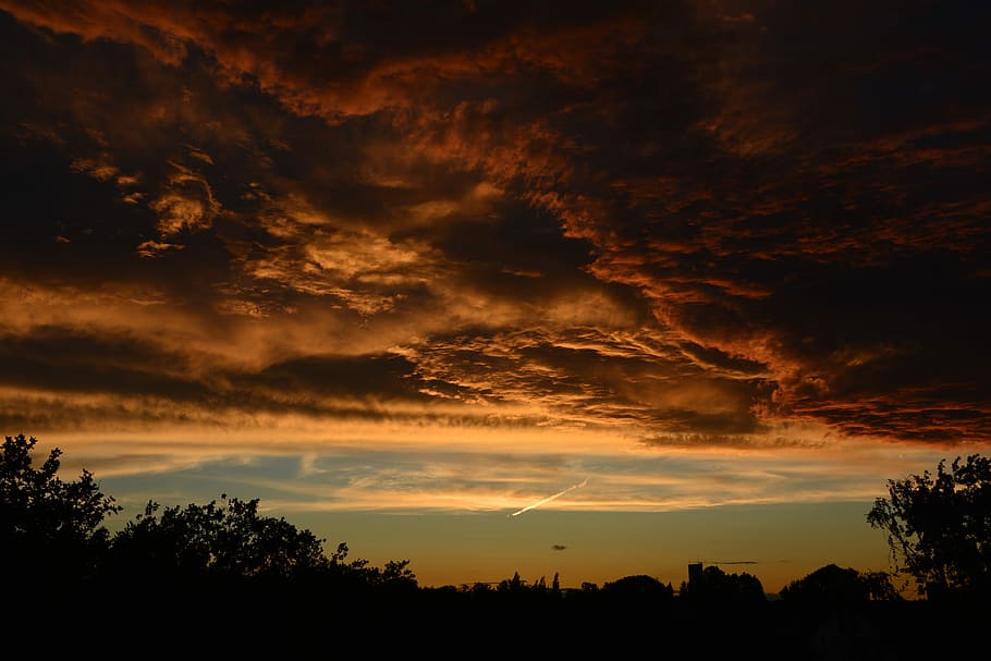brown and gray clouds during daytime, silhouette of trees during golden hour HD wallpaper