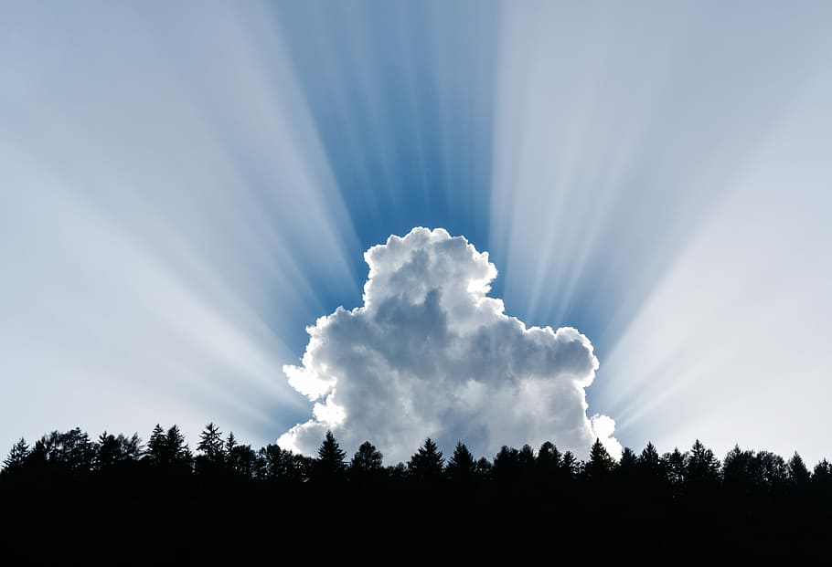 photography of clouds and forest trees, clouds on forest, sky HD wallpaper