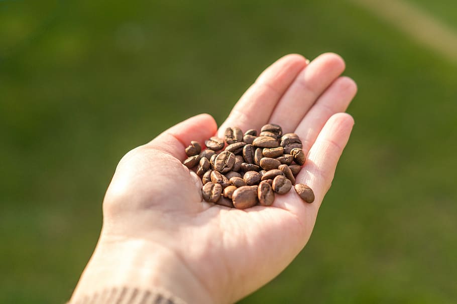 grain, coffee, drink, hand, cup, background, woman, female HD wallpaper