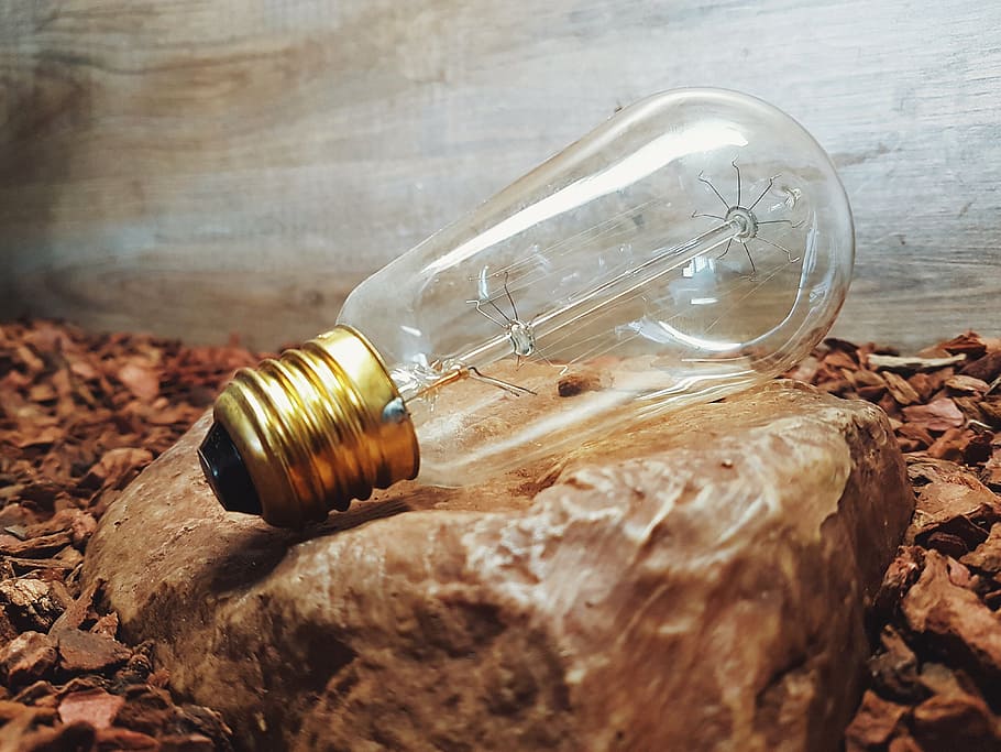 bulb, light, spark, lamp, rock, glass - material, light bulb HD wallpaper