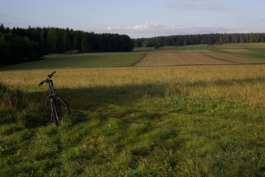 bike, landscape, fields, plant, grass, environment, tree, scenics - nature HD wallpaper