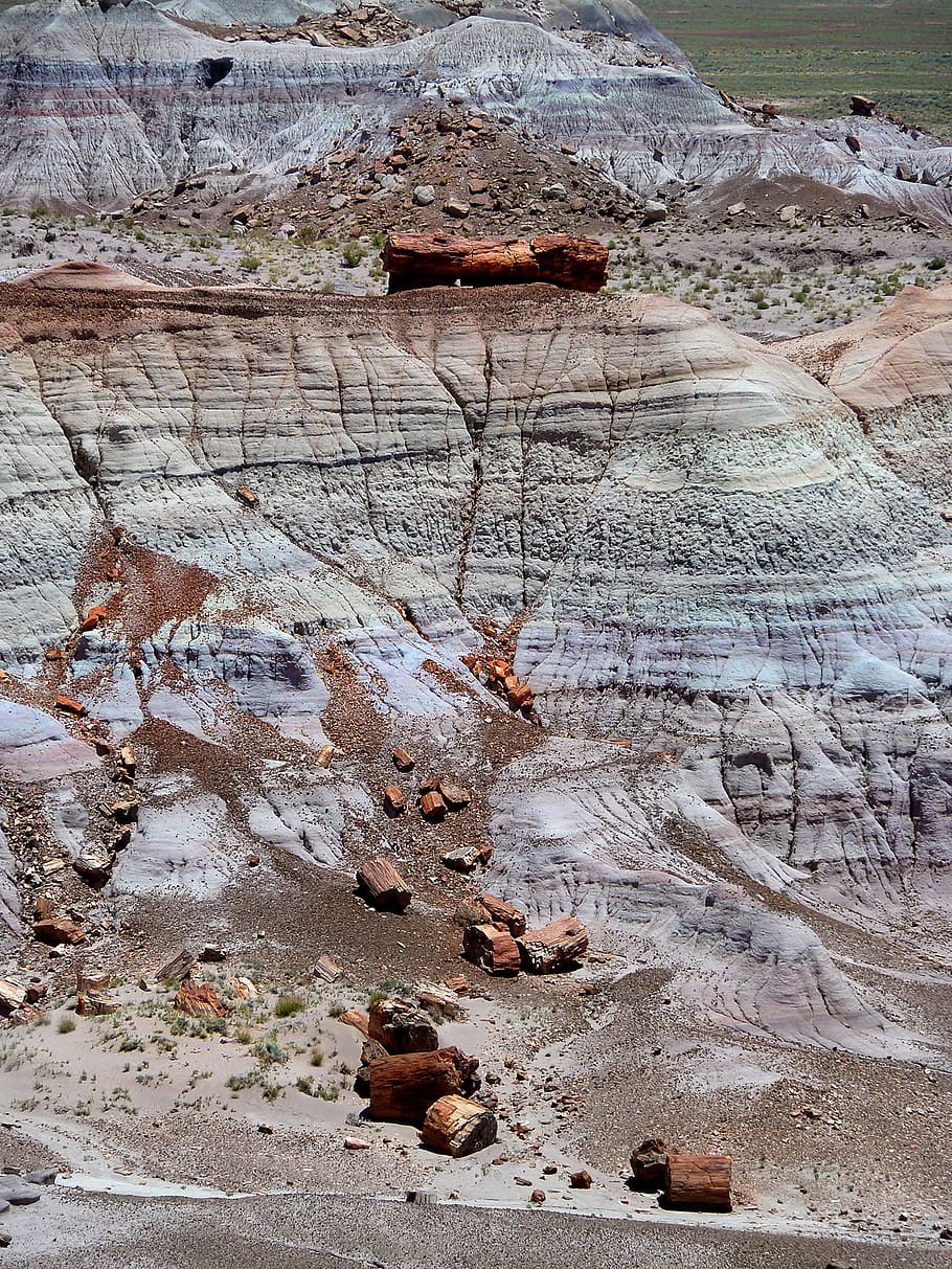 petrified, forest, national, park, petrified wood, colorful, HD wallpaper